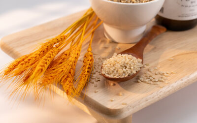 Why Strong Brands Stay Consistent: A Perspective from a Branding Studio