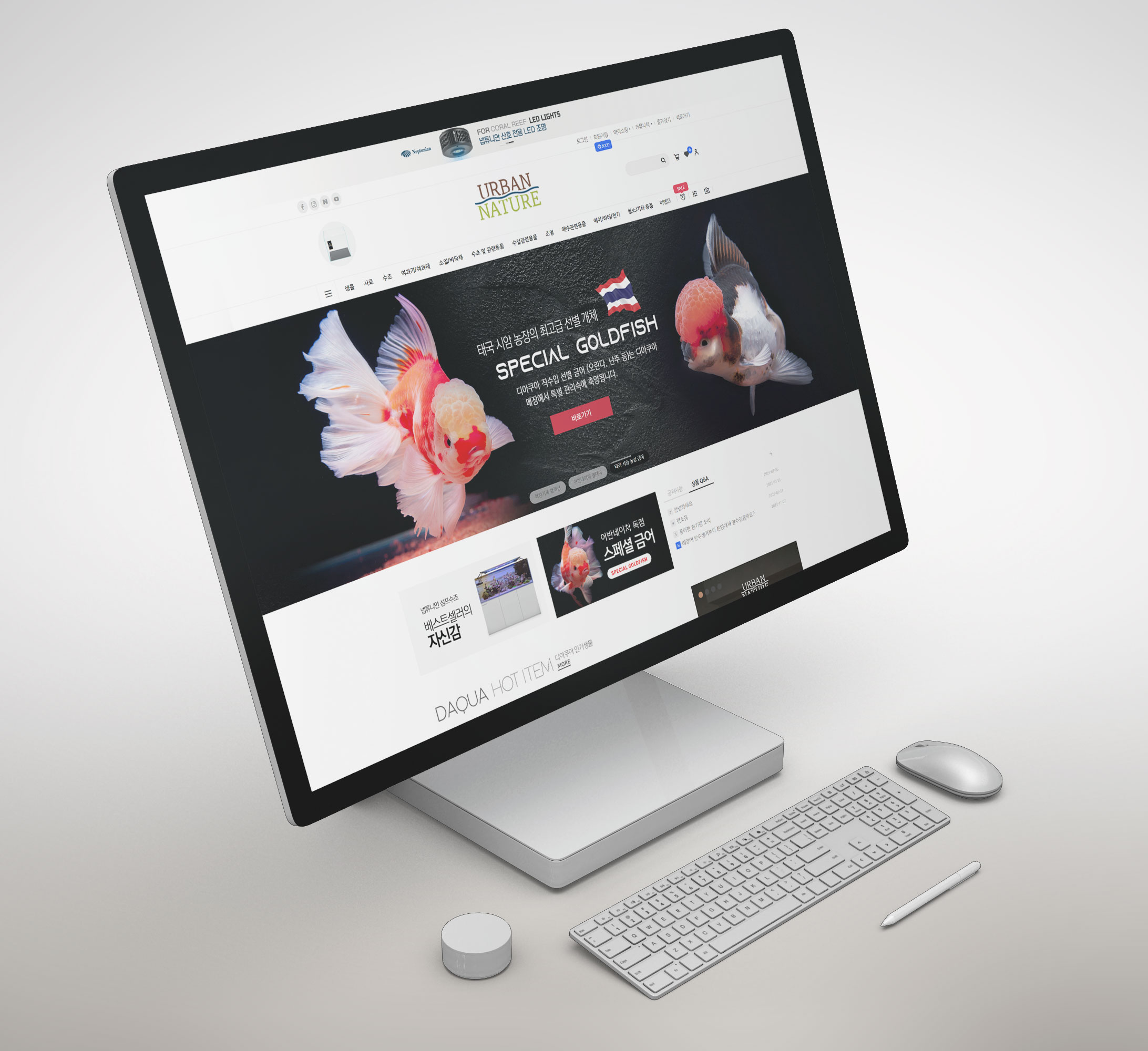 D-AQUA — brand design
