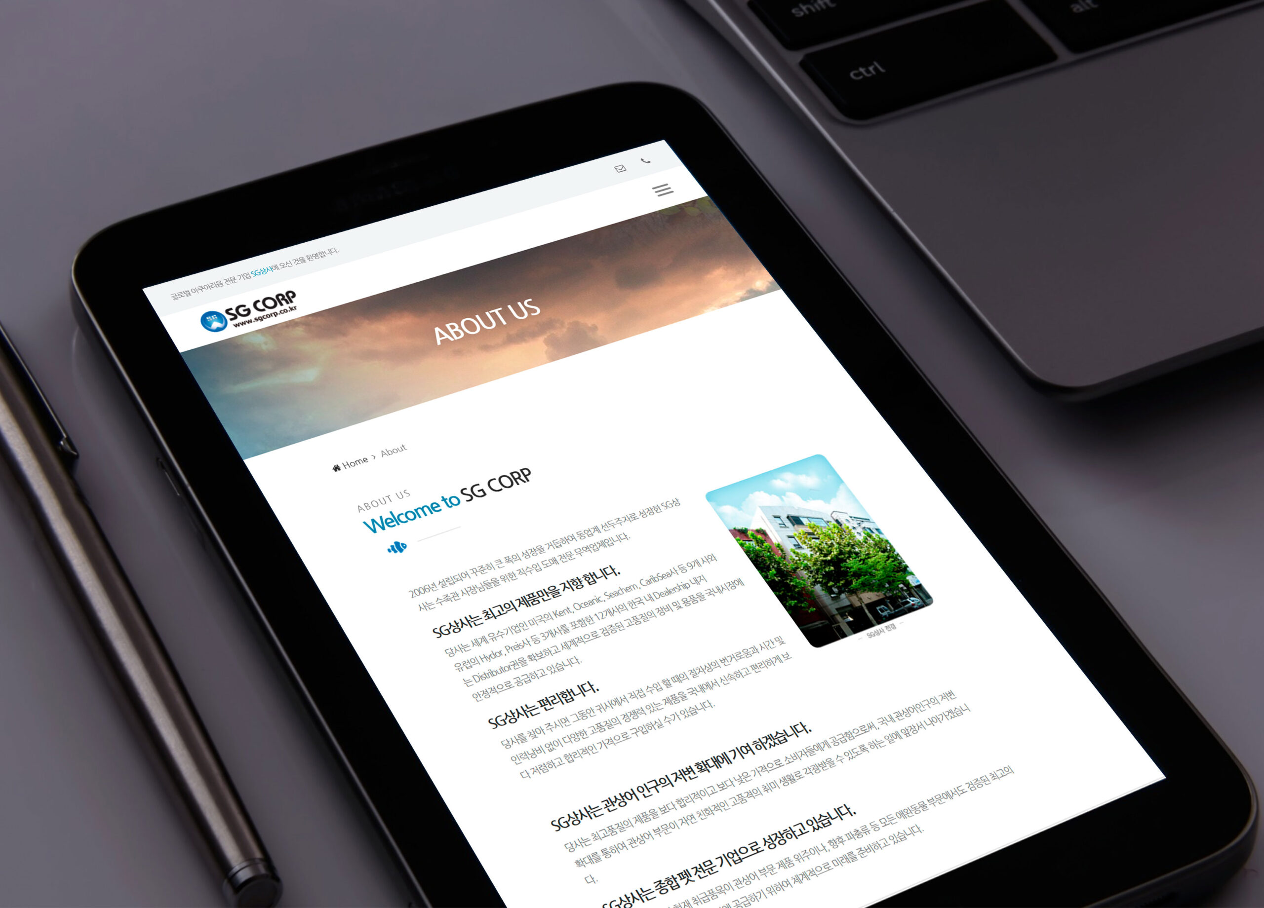 SG CORPORATION — brand design