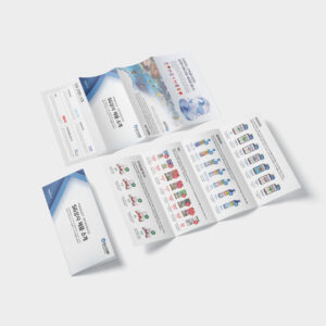 PRINT & ADS — SG Corp Flyer