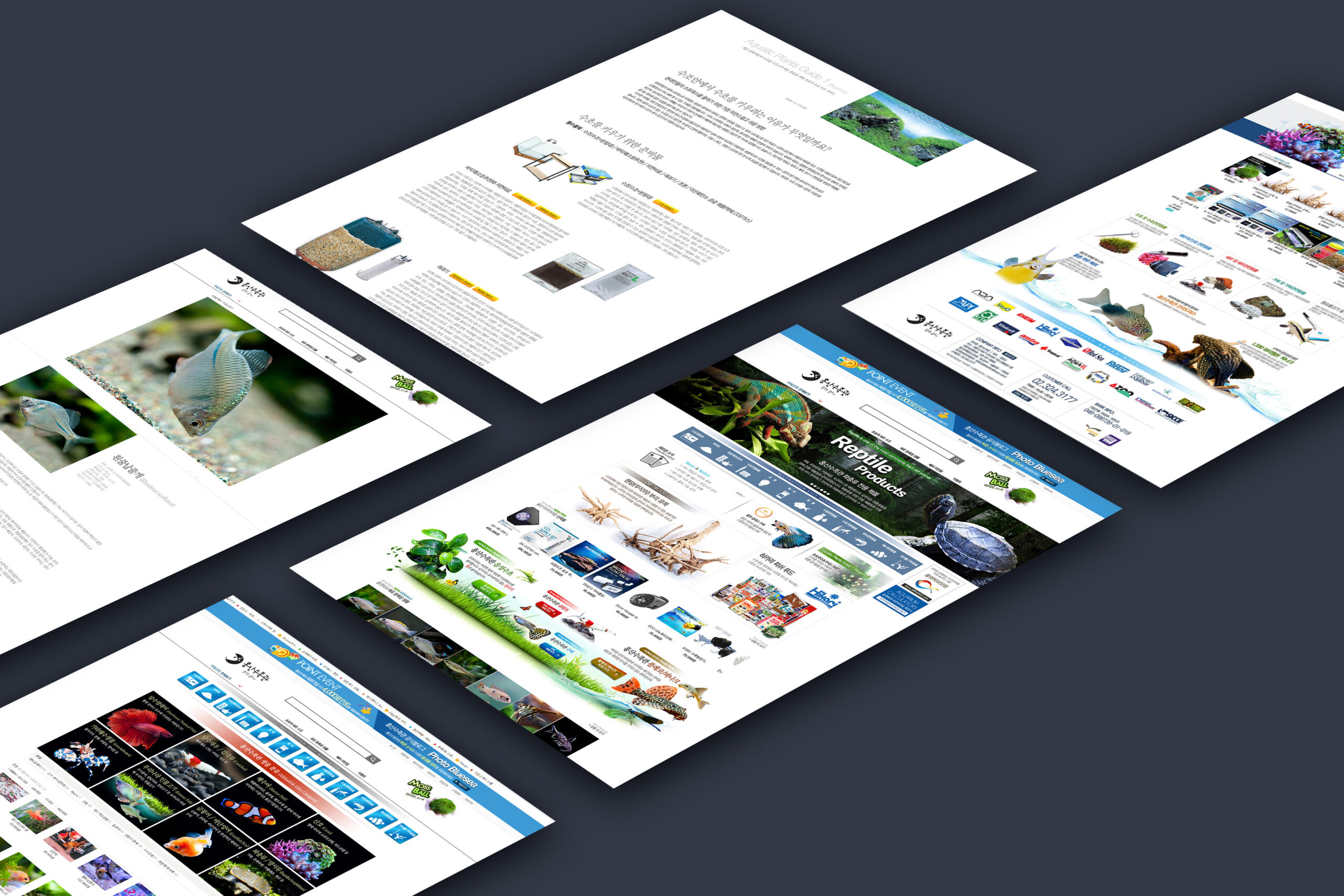 HONGSAN AQUARIUM — brand design